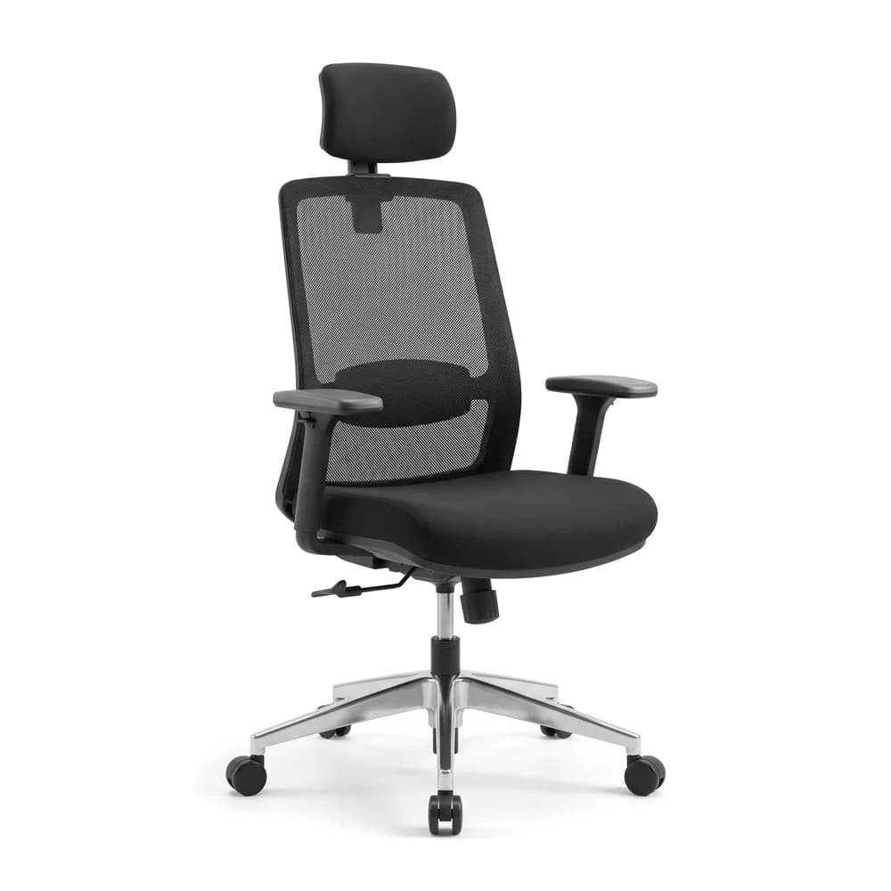 Chaise ergonomique Sérénide Seat Pro